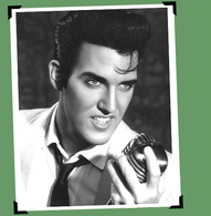 Elvis - Scot Bruce