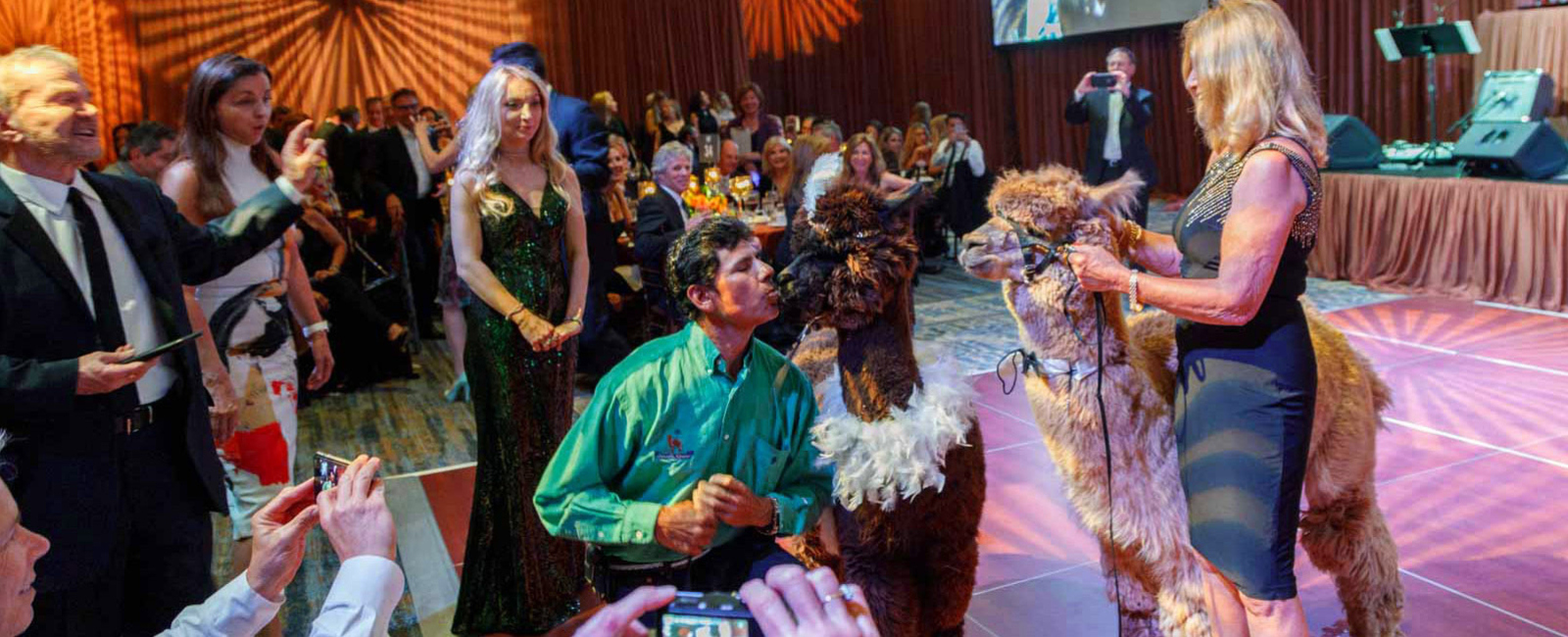 UNFORGETTABLE MEMORIES